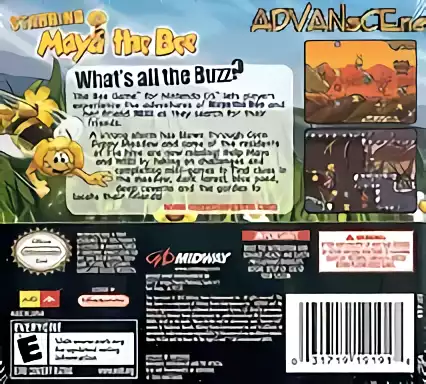 Image n° 2 - boxback : Bee Game, The